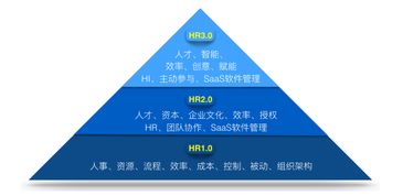 hr职场,HR职场文章：构建高效的人力资源管理体系