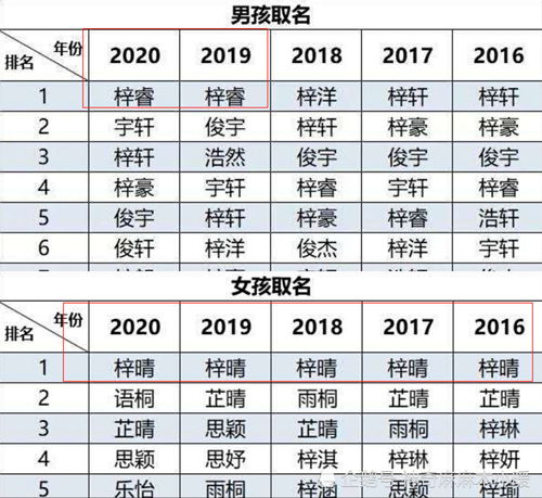 2020新生儿爆款名字出炉,快看看,你家娃的名字 撞名 了吗