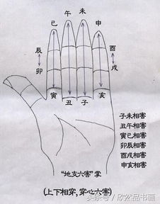 地支三 六合 刑 冲 破 害掌诀图 