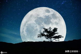 太阳天秤座与12月亮星座丨哪类天秤座最具徘徊不定呢