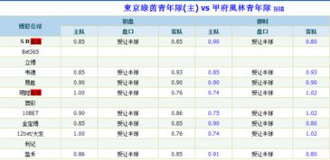 亚赔和亚盘是一个意思吗 