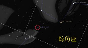 11 月12日小行星 灶神星上演冲日景象