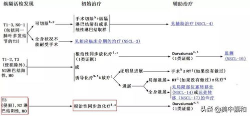 肺鳞癌中期手术后不化疗可以吗