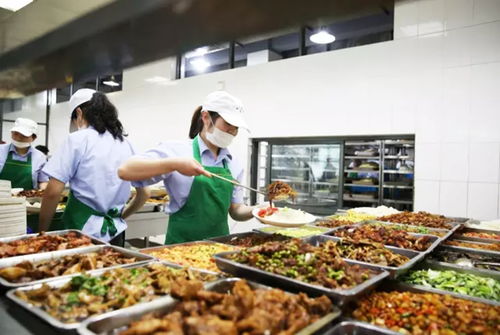 适合高校食堂的特色餐饮 (适合高校食堂的特色饭)