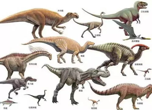 恐龙们的名字（一些恐龙的名字）