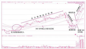 搜狐公众平台 就因为忽略1件事,你与黑马股失之交臂 