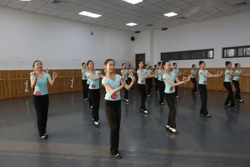 舞蹈专业学校校长讲话,济宁东方艺术学校