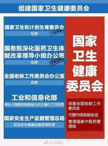 潍坊卫校怎么报名,潍坊卫校报名指南：成就医学梦想，塑造健康未来