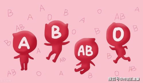 a型 b型 o型 ab型血,4种血型身体素质的区别,不妨了解