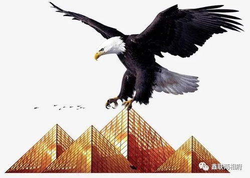 巴格达雄鹰,巴格达之鹰:伊拉克空军的传奇的海报