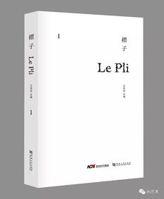 Hi话题 一个以 当代艺术 命名的基金会,如何花好捐赠人的钱