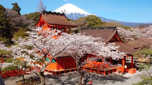 富士山是谁的财产