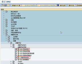 [SD]如何控制一个销售订单只能包含一个行项目