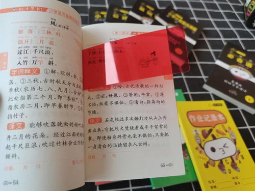 真正的学霸养成指南 漫画考点,快速提分,风靡中小学的小黑书,你家孩子入手了吗 初中 知识 重点 