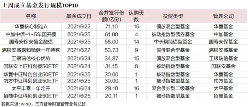 300024机器人是蓝筹股吗