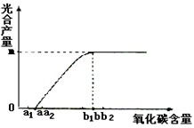 A点，B点什么意思？