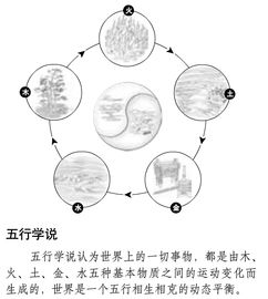 什么是面相学 面相学的起源是什么 面相学的理论基础是什么 