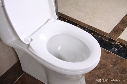 9ea248f93f41d755? - 抽水马桶选购的技巧,抽水马桶选购技巧，让你轻松打造舒适卫浴空间