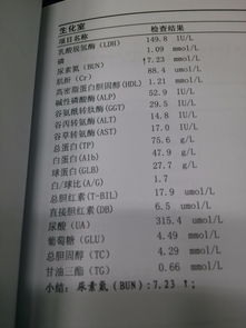 尿素氮低1.85严重吗