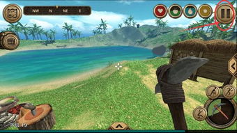 荒岛求生手游攻略视频解说视频,荒岛求生：从零到英雄的游戏之旅