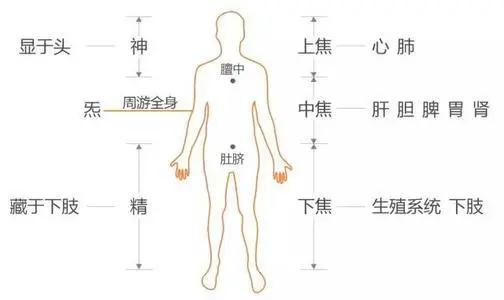 寒热体质对健康有什么影响？