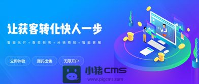 小程序cms程序AI搜索生成文章站群软件