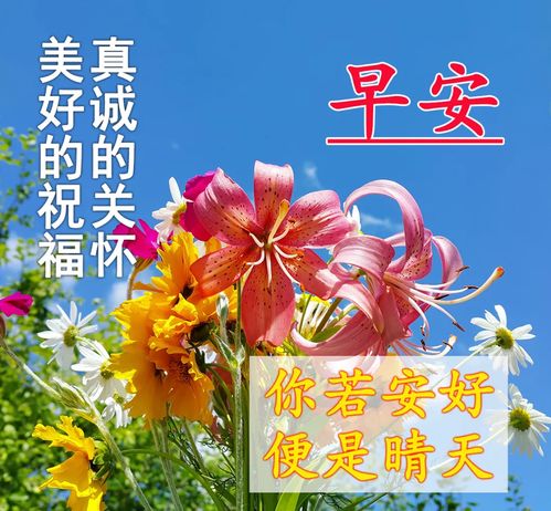 早上好漂亮的动图,祝你幸福又平安,健康每一天