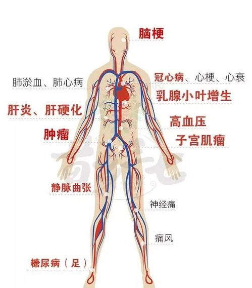 全国95 的成人血液都不健康,你的血液健康吗