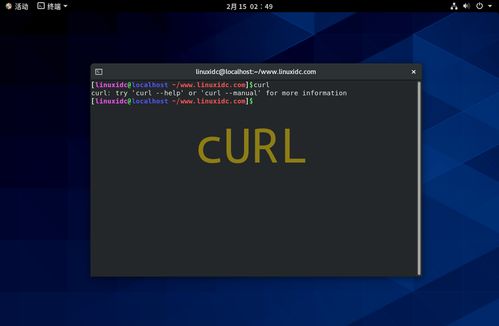 curl下载是什么意思(如何从 web服务器下载文本文件)