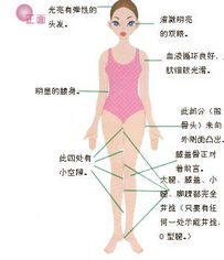 高招 简简单单 神速减肥小方法