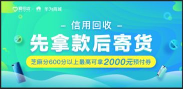 乐观号查重助手：高效查重，助力学术诚信