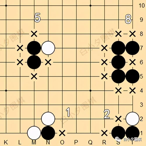 围棋入门基本知识(学围棋入门讲解)