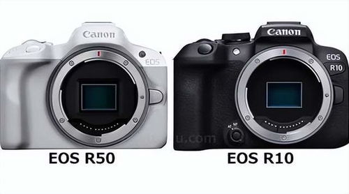 eos r50怎么连接手机,用wi-fi连接。