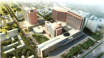 中国最好的肿瘤医院排名第一,中国最好的肿瘤医院排名的海报