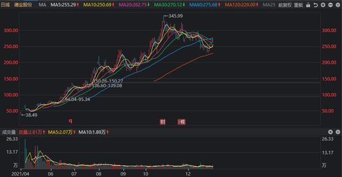 2021年涨幅最高的股票「2021年暴涨的股票」