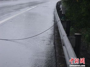 雨天高压电线掉落高速路 民警及时排除险情 