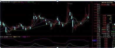 有些股票当天换手率达50%，难道是这家公司的1股票有一半经过了转手吗？太不可思议了，我看到上海石化