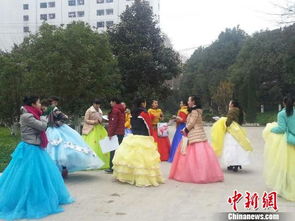 贵州省舞蹈艺考人数,2023贵州舞蹈统考本科合格分数段统计表 各分段人数