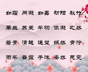 人见人爱的女孩名字大全,美丽的小公举取美好名字