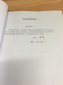 毕业论文指导老师签名