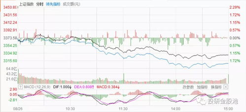 股票的公积金有什么用?是怎么来的?