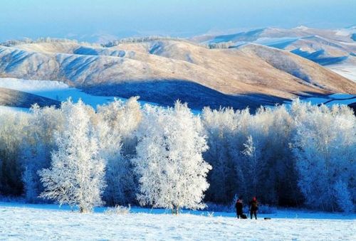 为什么化学总比下雪冷