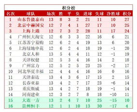 中超第6位下课主帅出炉 49岁葡萄牙主帅赢球仍难逃下课命运 