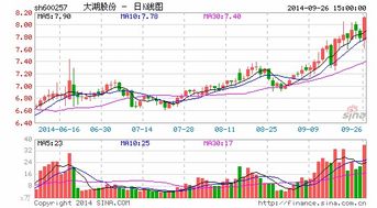 大湖股份下星期如何。