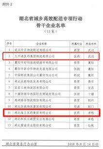 海王生物医药网络布局持续完善 子公司入选湖北省城乡高效配送试点骨干企业名单
