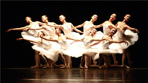 北京舞蹈学校苏桂英,苏桂玉北京舞蹈