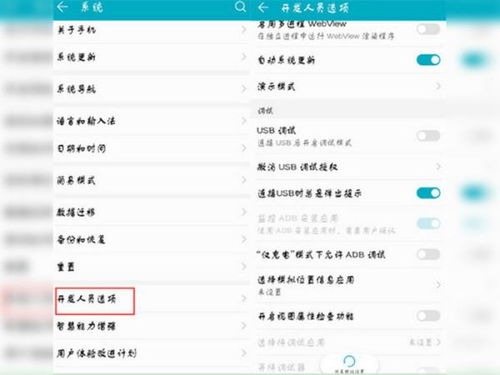 手机开发者选项在哪,手机开发者选项在哪里？全面解析各大品牌手机开发者模式的开启方法