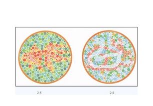 色盲测试图看图技巧 