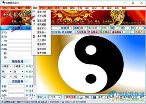如意算命软件免费版 如意算命软件下载 1.0 绿色特别版 河东下载站 