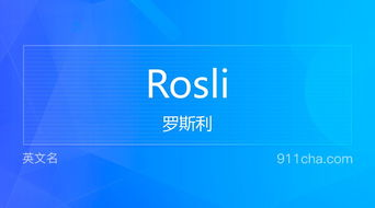 ros是什么币—ro是什么货币的简写